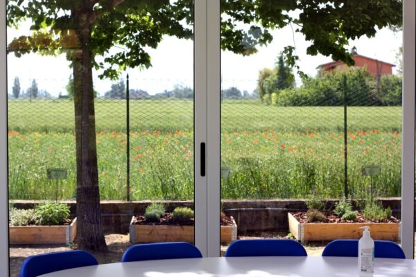 Aula Verde - Scuola per l'infanzia a Tordandrea di Assisi - interno