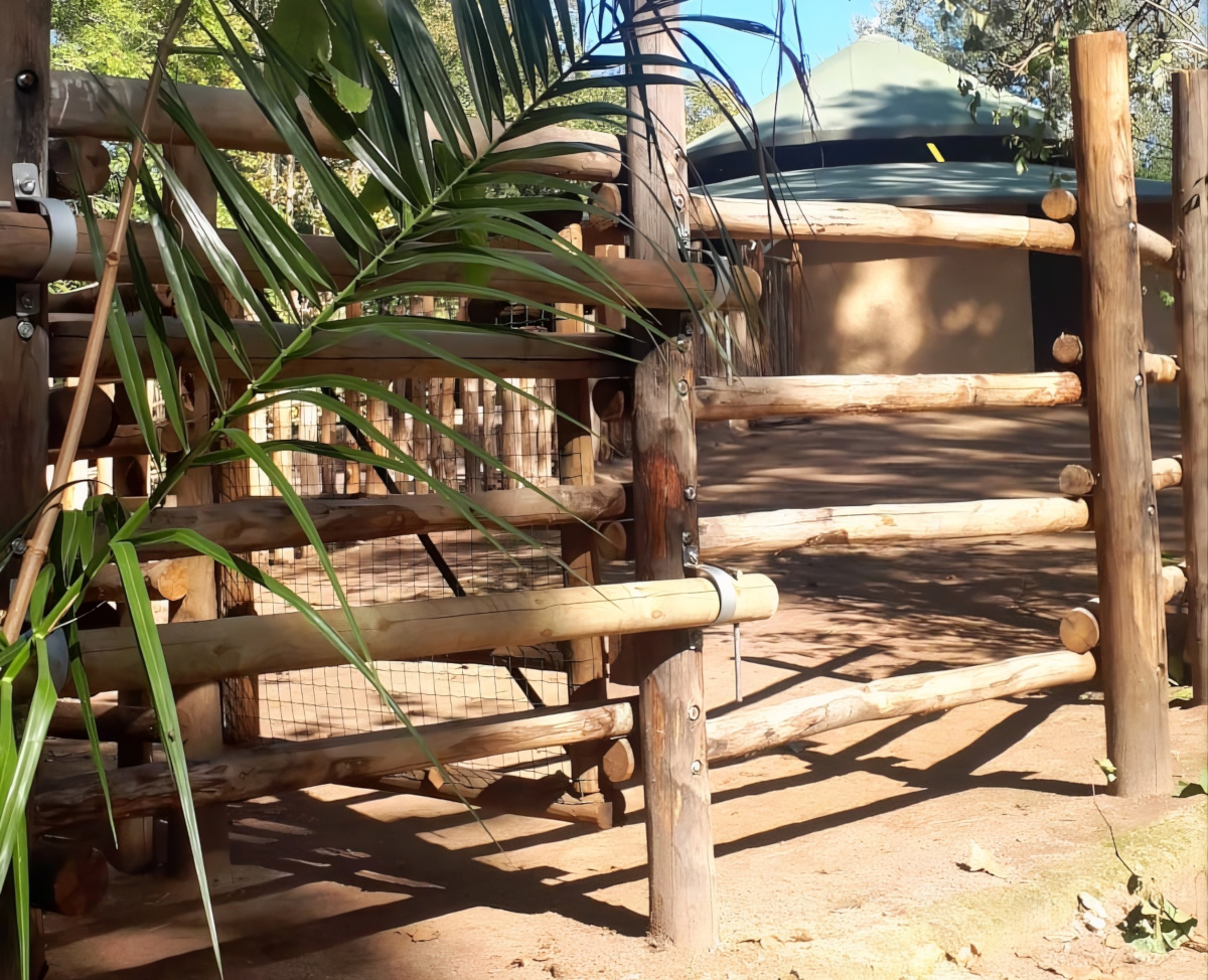 I nostri pali al Bioparco di Roma