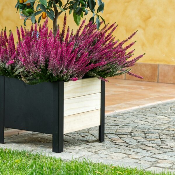 FIORIERA LAVANDA CM 118X36X32H